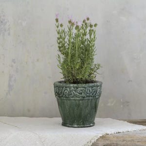 May include: A green ceramic flower pot with a decorative rim, filled with a lavender plant. The plant has green stems and small purple flowers. The pot is sitting on a white cloth.