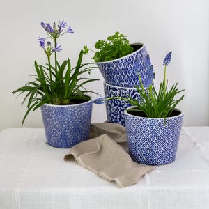 May include: Four blue and white patterned ceramic flower pots with plants and flowers. The pots have different patterns, including geometric and floral designs. The plants include green foliage and purple flowers. A tan cloth is draped in front.