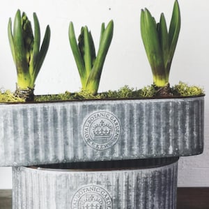 Op de afbeelding: Een witte keramische mok met een zwart handvat en de tekst "But First, Coffee" in een handschriftstijl. De mok staat op een wit oppervlak. De mok is ongeveer 10 cm hoog.