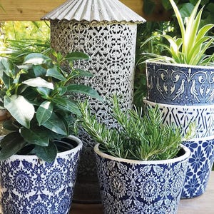 May include: A collection of blue and white patterned ceramic plant pots, filled with greenery, and a decorative metal lantern. The pots are of different sizes and feature intricate designs. The lantern is white and ornate. The scene is set outdoors.