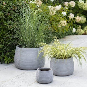 Puede incluir: Tres jardineras redondas grises y texturizadas de diferentes tamaños, cada una llena de hierbas ornamentales. Las jardineras están dispuestas sobre un patio de piedra de color claro, con vegetación y flores en el fondo.