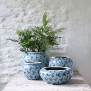 Puede incluir: Cuatro macetas de cerámica azules y blancas de diferentes tamaños están dispuestas sobre una superficie de madera. Las macetas tienen un estampado floral y contienen plantas verdes. El fondo es una pared blanca texturizada.