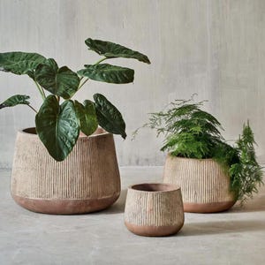 Op de afbeelding: Een set van drie keramische mokken met een gespikkelde, matte afwerking. De mokken zijn in tinten crème, lichtgrijs en donkergrijs. Elke mok heeft een eenvoudig, minimalistisch ontwerp, perfect voor koffie of thee.