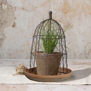 May include: A small potted plant with green grass is enclosed in a decorative wire cage. The cage is dark brown and dome-shaped, with a small ball on top. The pot is brown and sits on a matching saucer. A ball of twine is nearby.