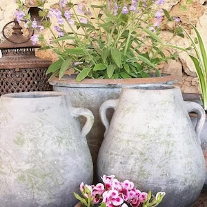 Può includere: Una collezione di vasi in ceramica grigia rustica e usurata di varie dimensioni, alcuni con manici, riempiti di piante e fiori vibranti. La scena comprende un grande vaso con piante fiorite viola e un vaso più piccolo con fiori rosa e bianchi.