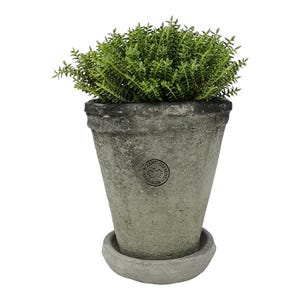 May include: A weathered grey concrete planter with a small, round saucer. The planter is filled with a vibrant green plant. A circular emblem with text is affixed to the front. The planter has a tapered shape.