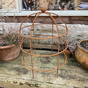 May include: A weathered, rusty brown metal plant support cage. The cage features a domed top and three circular tiers, supported by vertical bars. It is designed to support climbing plants. The cage is placed on a wooden surface.