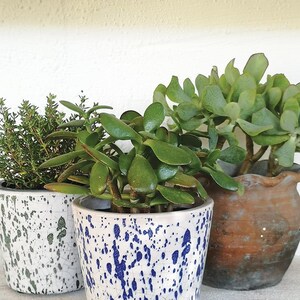 May include: Three potted plants. The foreground features a white ceramic pot with blue splatter paint, holding a green plant. To the left is a similar pot with green splatter. A terracotta pot with a green plant is on the right.