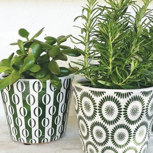 May include: Two ceramic plant pots with green plants. One pot has a white background with a green oval pattern. The other pot has a white background with a green floral pattern. The plants are green and leafy.