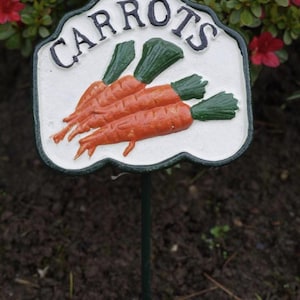 Puede incluir: Un letrero de jardín con la palabra "CARROTS" en letras negras. El letrero presenta un fondo blanco con zanahorias naranjas y hojas verdes. Montado sobre una estaca de metal verde oscuro.