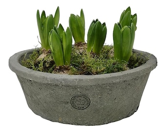 Maceta de terracota gris de Kew Gardens - Maceta rústica poco profunda - Maceta de jardín - Maceta tipo cuenco - Decoración para exteriores - 25 x 8,5 cm