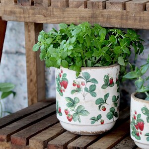 May include: A white ceramic plant pot with a strawberry design, filled with green leafy plants. The pot has a distressed finish and is on a wooden shelf. The strawberry design includes red strawberries and green leaves.