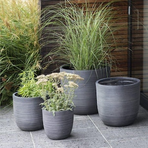 May include: A collection of four gray, cylindrical planters with horizontal ridged detailing. The planters are filled with various green plants and flowers, creating a natural and decorative outdoor display. The planters vary in size.