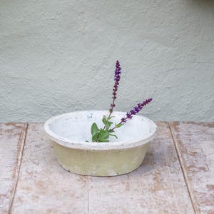 May include: A shallow, round bowl with a weathered, pale yellow exterior and a white interior. The bowl features a rough, textured surface and contains a single sprig of purple flowering sage with green leaves resting inside the basin.