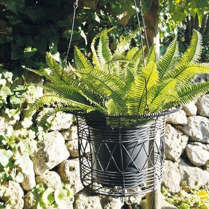 Hanging Wire Basket Plant Pot Holder - Hanging Flower Pot Holder - Rustic Hangable Outdoor Plant Pot Holder - Wall Hung Wire Pot Holder