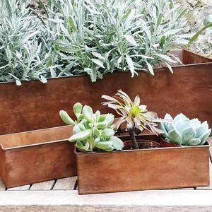 Puede incluir: Tres jardineras rectangulares de cobre envejecido llenas de varias suculentas y hierbas. Las jardineras están dispuestas a diferentes alturas, creando un efecto de capas. Las plantas incluyen una variedad de suculentas verdes y verde-azuladas y una hierba alta y frondosa.