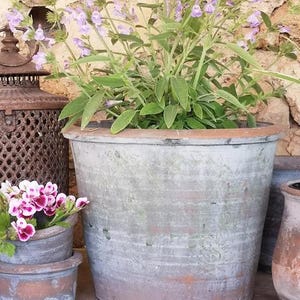 Puede incluir: Una maceta grande y desgastada de terracota en tonos grises, llena de follaje verde y flores moradas. Macetas más pequeñas con flores rosas y blancas están al frente. Una linterna de metal rústico está a la izquierda. Las macetas están sobre una superficie de piedra.