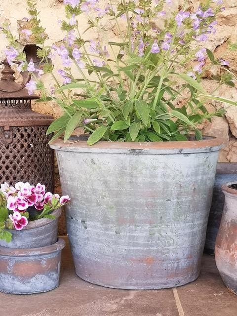 Used Terracotta Pots - Etsy UK