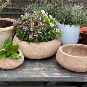 Puede incluir: Una colección de varias macetas de terracota y cerámica, algunas llenas de flores y vegetación vibrantes. Las macetas varían en tamaño y forma, incluyendo un cuenco grande y poco profundo y una maceta azul claro con volantes. La escena evoca un jardín o un entorno al aire libre.