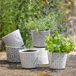 Op de afbeelding: Een verzameling grijs en wit keramische plantenpotten met patronen, elk gevuld met groen. De potten hebben verschillende ontwerpen, waaronder geometrische vormen en bloempatronen. De potten staan op een stenen oppervlak, met een vage groene achtergrond.