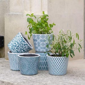 May include: Several ceramic plant pots in teal and white, each with a unique pattern. The pots, filled with green plants, are arranged on a stone surface. Patterns include floral, geometric, and mosaic designs, adding a decorative touch.