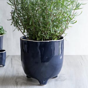 May include: A dark blue ceramic plant pot with a glossy finish, three small feet and a white rim. The pot is filled with green leafy plants, creating a contrast of colours and textures. The design is modern and minimalist.