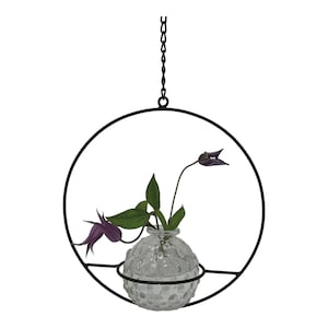 Colgador redondo de metal para florero de vidrio - Soporte decorativo de pared para tallos de flores - Maceta colgante de pared - Maceta para plantas de pared