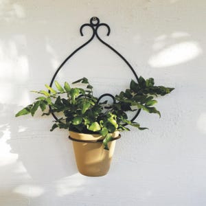 Op de afbeelding: Een aan de muur gemonteerde plantenbak met een beige pot gevuld met groen gebladerte. De pot wordt vastgehouden door een zwart, decoratief smeedijzeren frame. Het frame heeft een druppelvorm met een sierlijk topdetail, gemonteerd op een witte, getextureerde muur.