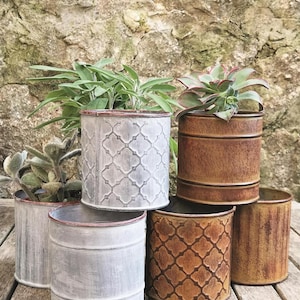 May include: Six cylindrical metal planters in shades of grey and brown, some with patterned designs. The planters are filled with green plants and succulents, creating a rustic, decorative display for a garden or home.