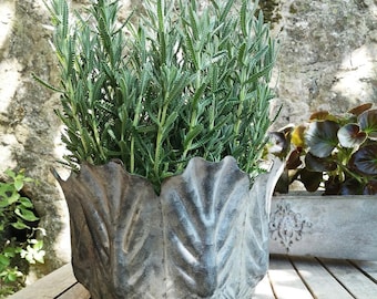 Maceta metálica con forma de hoja para jardín - Maceta metálica para exteriores - Cubo rústico de zinc gris - Maceta de zinc tipo cuenco - Maceta de jardín para exteriores - Cubo de metal
