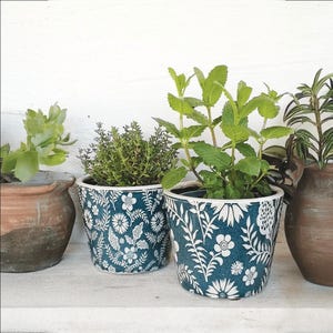 May include: A selection of potted herbs and plants. Two ceramic pots with a blue floral pattern contain thyme and mint. Other plants are in rustic brown pots. The plants are on a white shelf against a white wall.