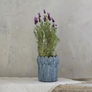 Maceta azul para plantas - Maceta rústica color verde azulado - Maceta rayada para suculentas - Cubierta para macetas de cactus, hierbas y plantas - Maceta texturizada