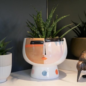 Puede incluir: Una maceta de cerámica blanca con diseño de rostro, con detalles en marrón, rosa y negro. La maceta contiene una planta verde con hojas largas y erguidas. La base tiene lunares azules y naranjas. Una estatua decorativa de un pájaro kiwi está cerca.