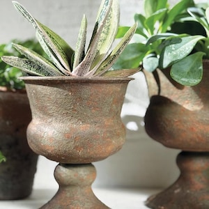 May include: A weathered, pedestal planter with a succulent plant. The planter has a bulbous body and a flared base, with a distressed, rusty brown finish. The succulent has long, pointed leaves with green and white variegation.