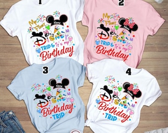 Mickey Minnie 1st Birthday Shirt, Disneyland First Birthday Shirt, Family Birthday Shirt, Disneyworld Trip Shirt, Disneyland Birthday Squad