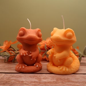 Könnte beinhalten: Zwei Gecko-förmige Kerzen, eine orangefarbene und eine gelb-orangefarbene. Jede Kerze hat einen Docht. Die Kerzen stehen auf einer Holzoberfläche, im Hintergrund befinden sich orangefarbene Blumen und Grün. Die Kerzen sind etwa 10 cm hoch.