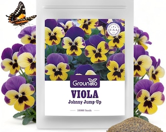 Johnny Jump-Up Viola Seeds, Perennial Edible Flowers, Attracts Pollinators, Non-GMO Heirloom