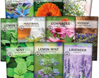 Herbal Tea Garden Seed Collection – Lavender, Mint, Chamomile, Echinacea, Borage (10 Pack)