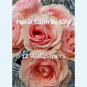 May include: A bouquet of soft pink roses with the text "Floral Calm Beauty" and "12 Wallpapers". The roses have a gradient of pink hues, with darker centers and lighter outer petals. The background has a floral pattern.
