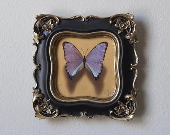 Morpho Portis, 4x4”, Framed, Oil on Linen Panel, Original Butterfly Oil Painting by Elle
