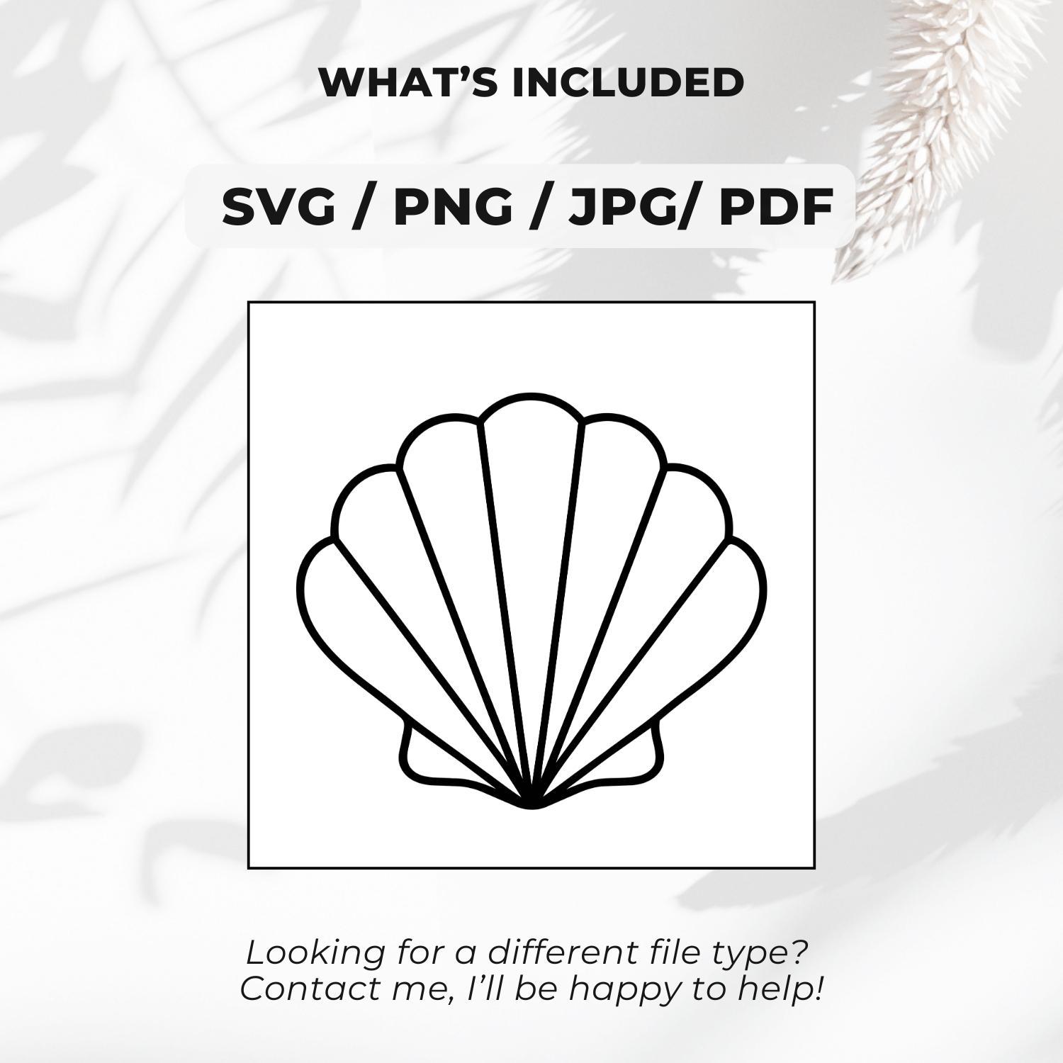Simple Seashell SVG PNG, Ocean Shell Outline Clipart, Sea Life Line Art ...