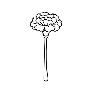 May include: A black and white line drawing of a carnation flower. The flower has many ruffled petals and a long, slender stem. The image is a simple, elegant illustration.