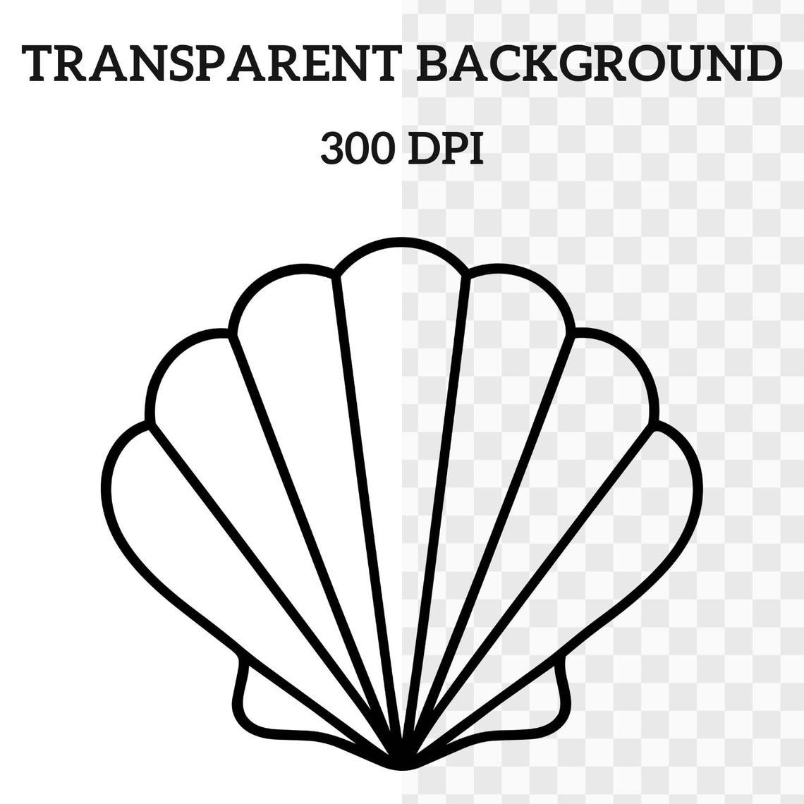 Simple Seashell SVG PNG, Ocean Shell Outline Clipart, Sea Life Line Art ...