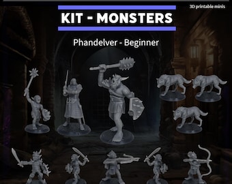 Kit 11 Miniatures dungeons and dragons D&D - Phandelver beginner (starter kit)