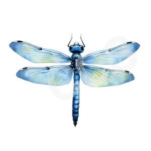 May include: Watercolor illustration of a dragonfly with a blue body and wings. The wings have a gradient of light blue and yellow, with black accents. The dragonfly is depicted against a white background.