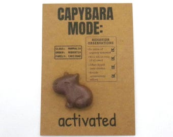 Soutien émotionnel Capybara | Cadeau câlin de poche | Choisissez votre couleur d'humeur | Petit cadeau amusant | Compagnon de bureau pour le soulagement de l'anxiété | Charm Capybara mignon