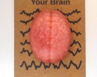 Brain Pocket Hug | Growth Mindset Gift | Teacher Gift | Student Encouragement | Anxiety Support | Positive Affirmation | Twisted Trinkets