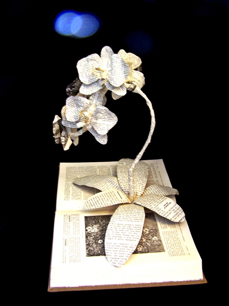 Statue of liberty essay conclusion picture