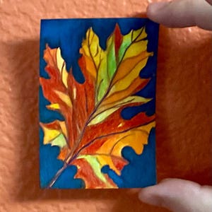 Könnte beinhalten: Ein rechteckiges Kunstwerk mit einer detaillierten Illustration eines einzelnen Ahornblatts. Das Blatt zeigt leuchtende Herbstfarben in Rot-, Orange-, Gelb- und Grüntönen vor einem einfarbigen, tiefblauen Hintergrund.