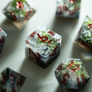 Peut inclure: Plusieurs dés en résine transparente avec des chiffres rouges et des plantes miniatures incrustées. Les dés sont de différentes formes polyédriques, dont des cubes et des dés à plusieurs faces, avec un thème naturel et botanique.